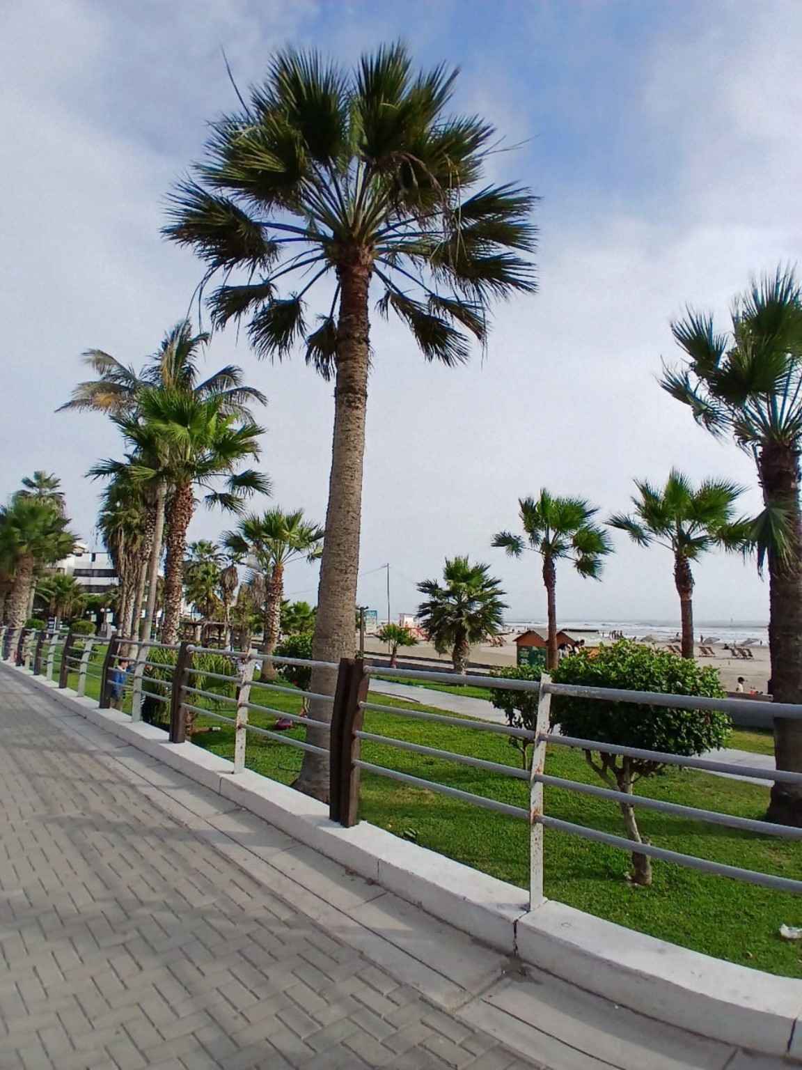 Mirador de Pimentel.